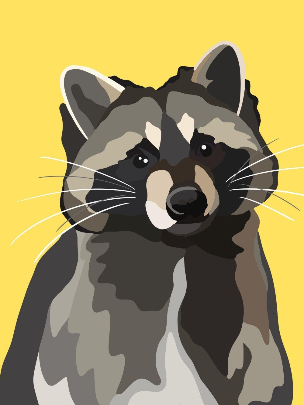 Raccoon | Diamond Painting