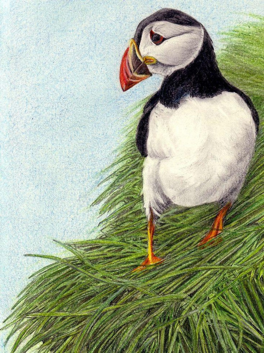 Puffin | Diamond Painting