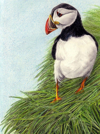 Puffin | Diamond Painting