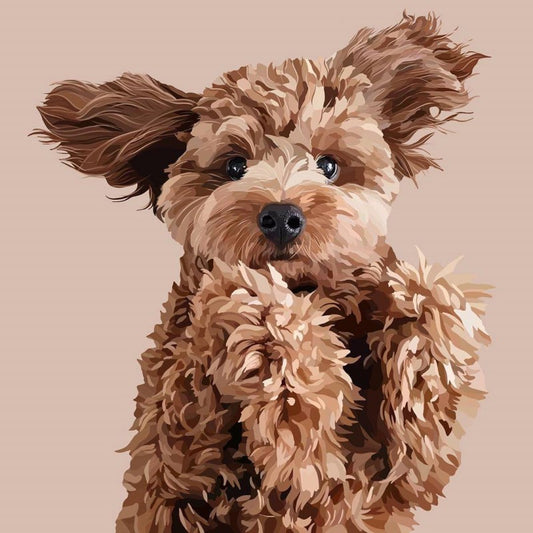 Poodle Dog | Diamond Painting