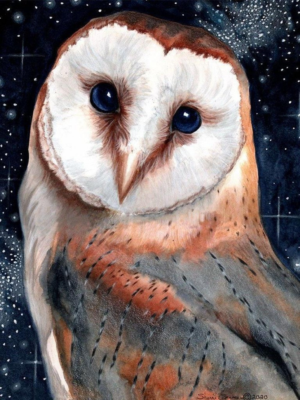 Barn Owl | Diamond Painting