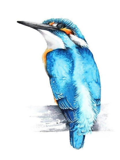 Kingfisher | Diamond Painting