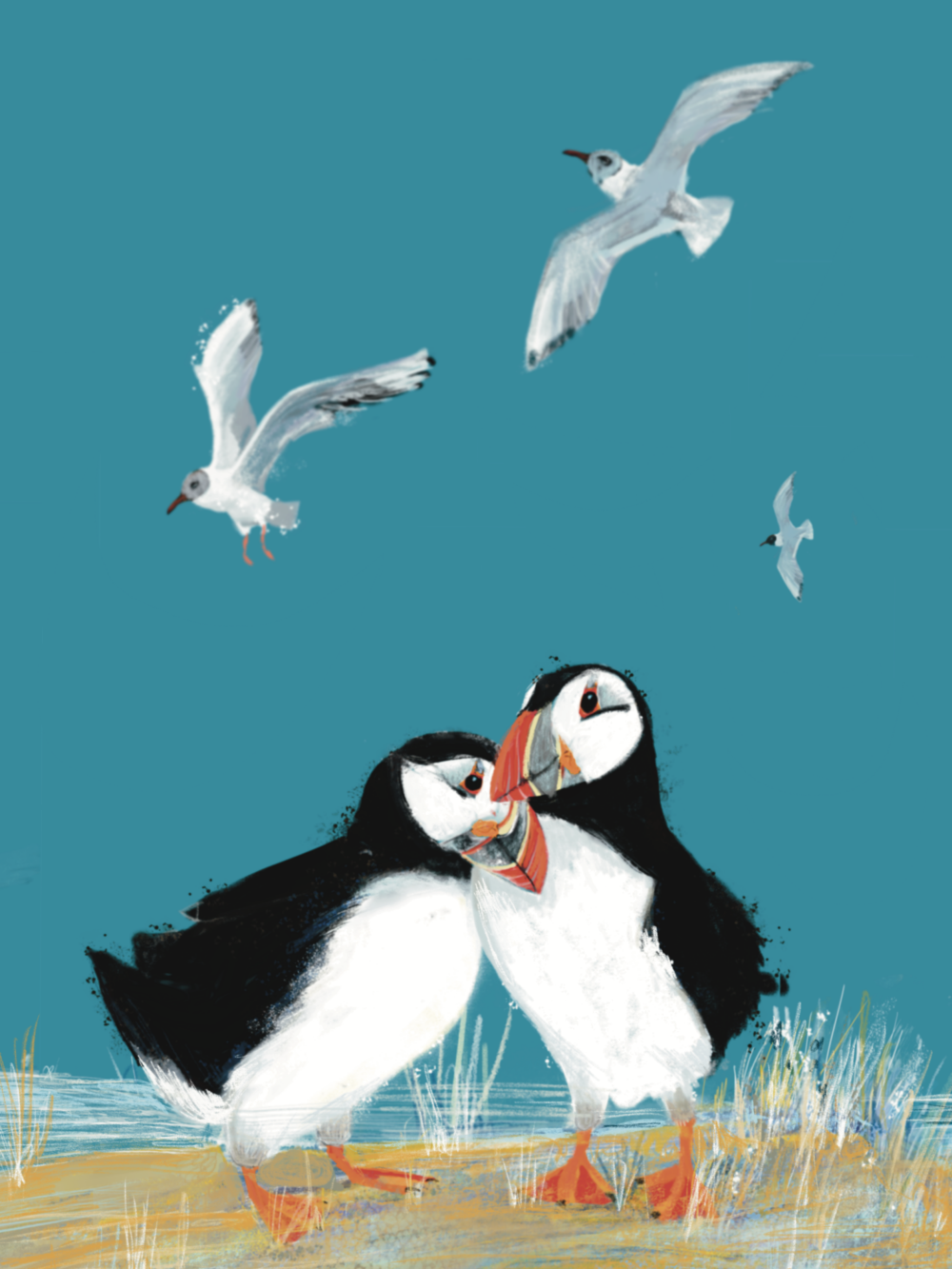 Puffin | Diamond Painting