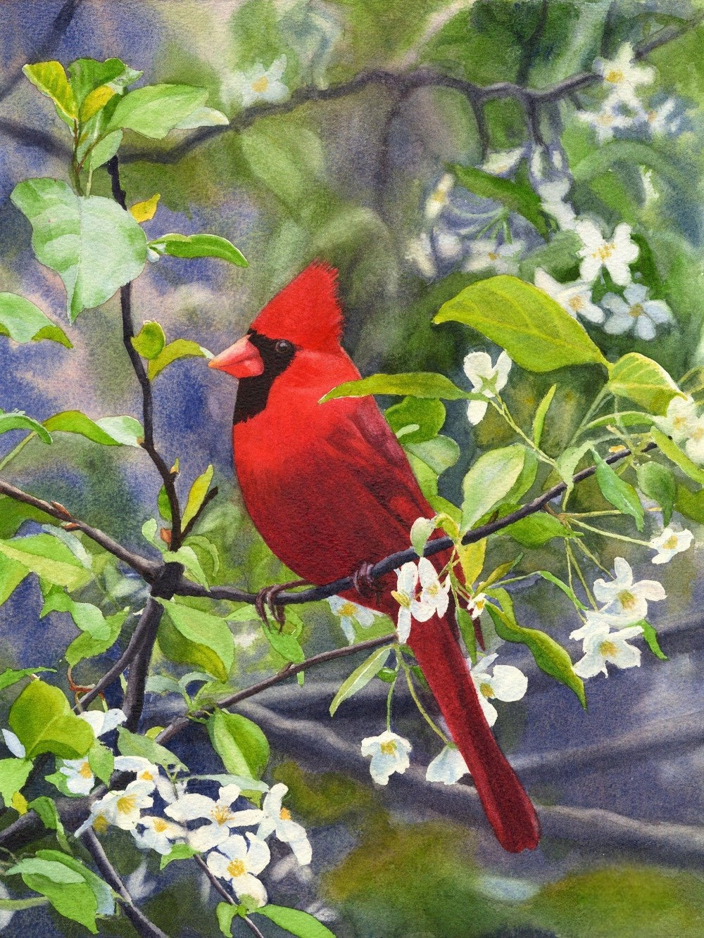 Cardinal | Diamond Painting