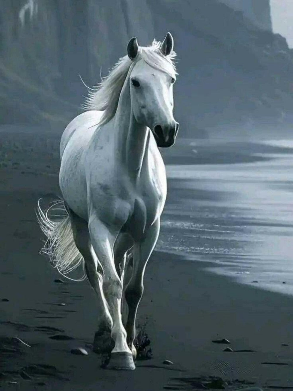 Horse | Diamond Painting