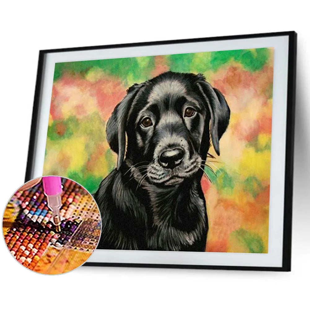 Black Dog | Diamond Painting