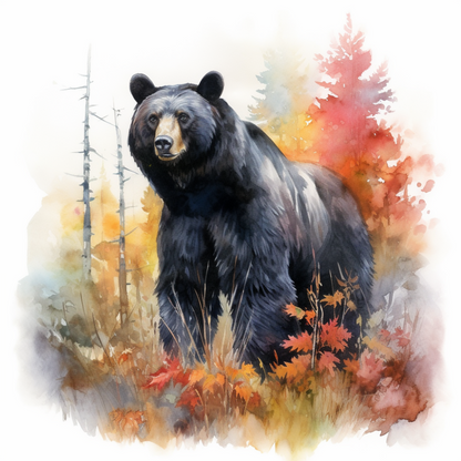 Black Bear | Diamond Painting