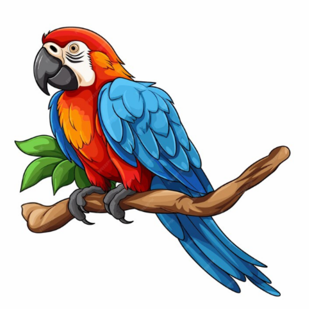 Macaw | Diamond Painting