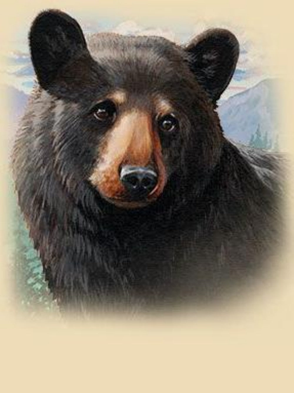 Black Bear | Diamond Painting