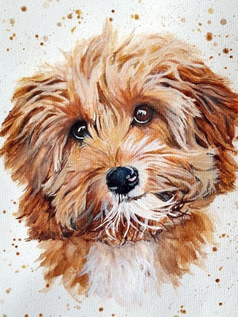 Cavapoo Dog | Diamond Painting