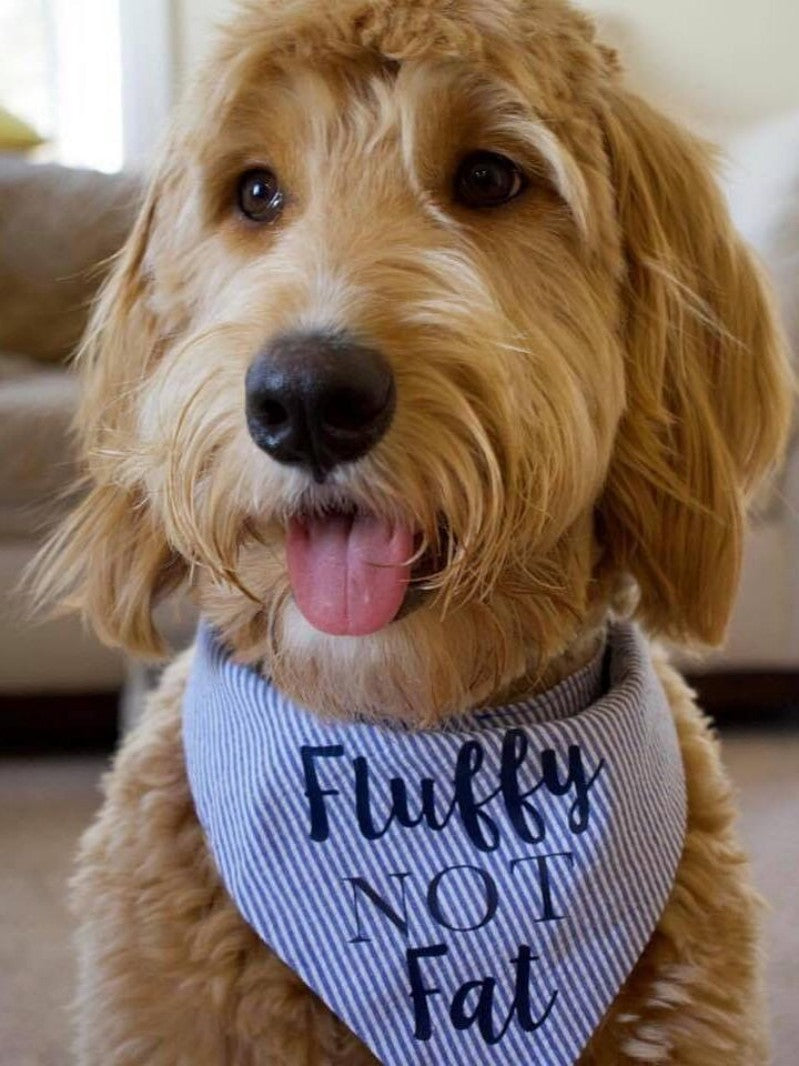 Goldendoodle Dog | Diamond Painting