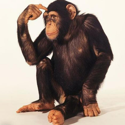 Gorilla | Diamond Painting