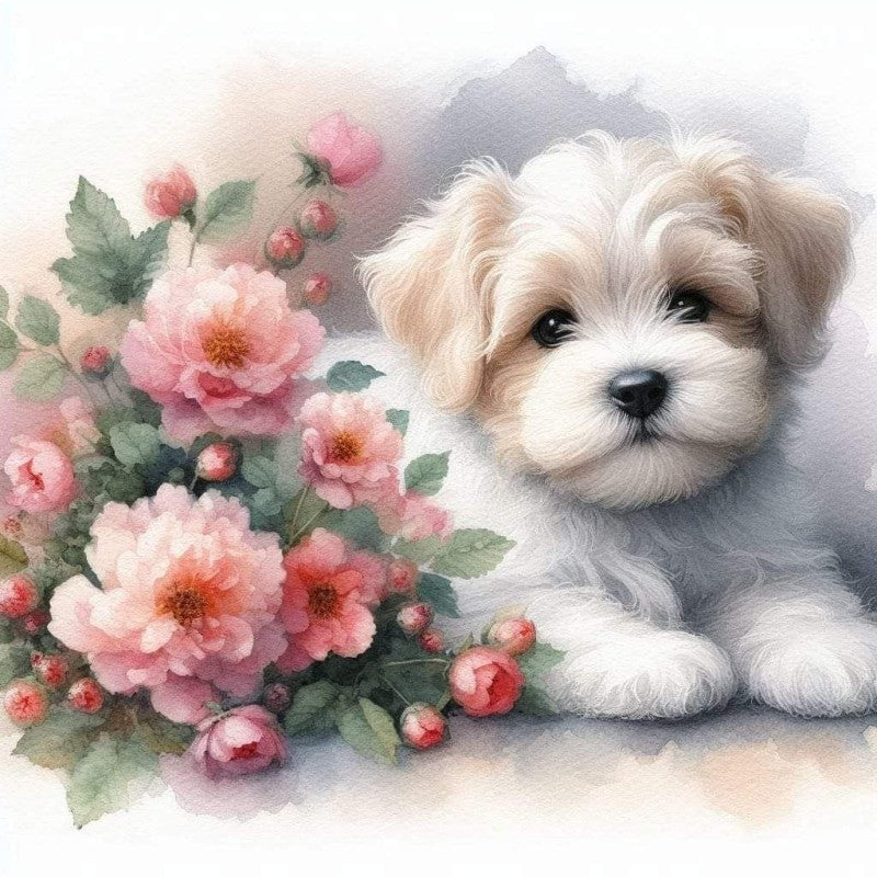 Dog Shih Tzu | Diamond Painting