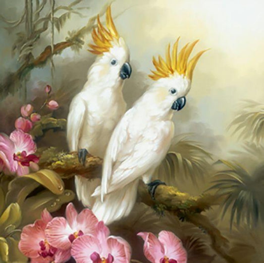 Cockatoo | Diamond Painting