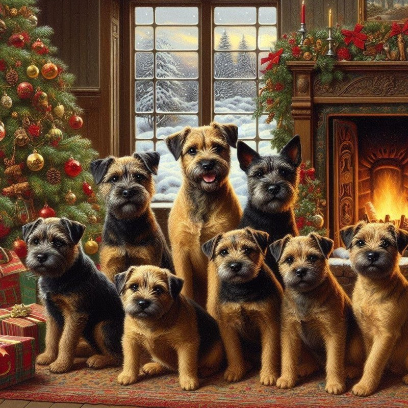 Dog Border Terrier | Diamond Painting