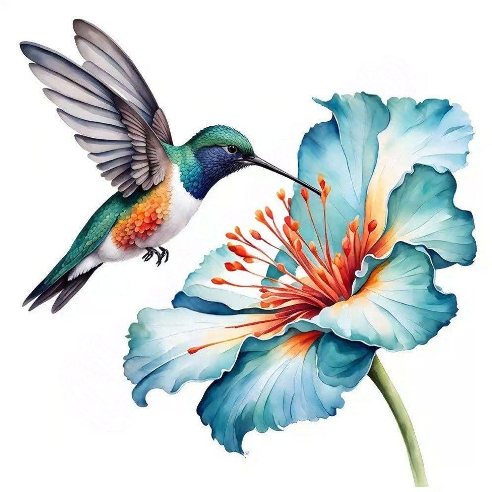 Hummingbird | Diamond Painting