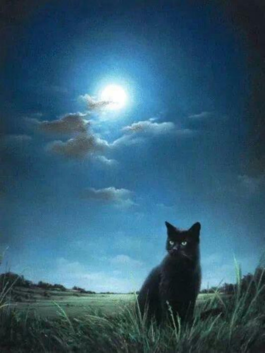 Midnight Cat | Diamond Painting