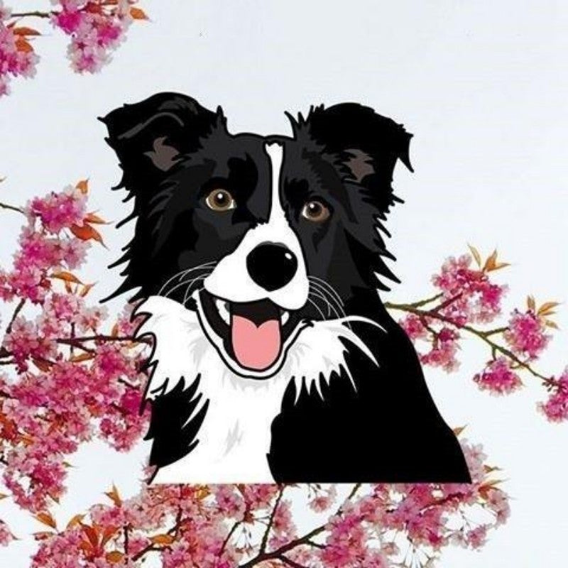 Dog Border Collie | Diamond Painting