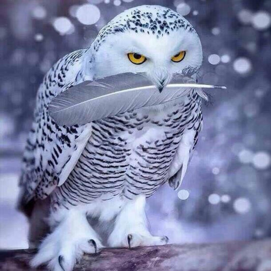 Snowy owl (White Owl) | Diamond Painting