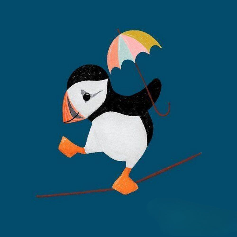 Puffin | Diamond Painting