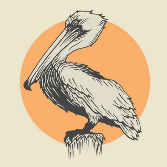 Pelican | Diamond Painting