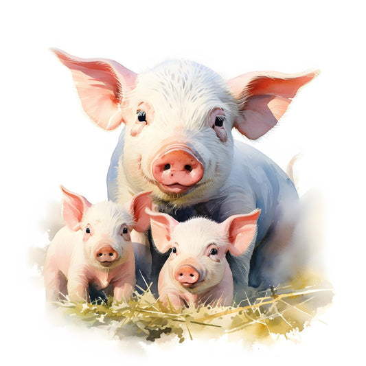 Pig | Diamond Painting