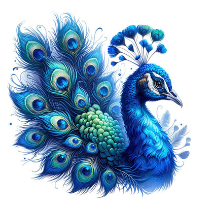 Peacock | Diamond Painting