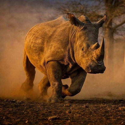 Rhino | Diamond Painting