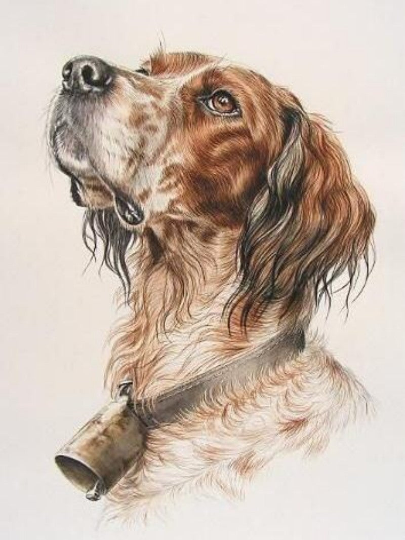 Brittany Spaniel Dog | Diamond Painting