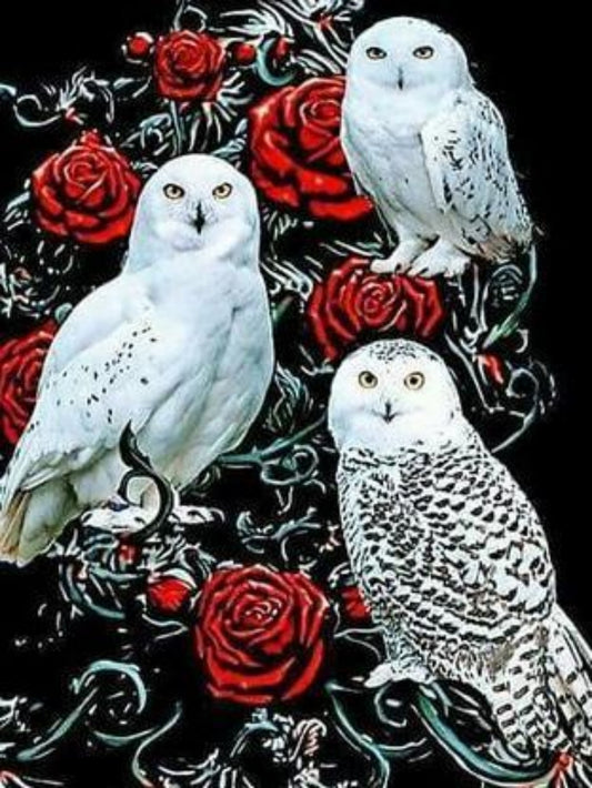 Snowy owl (White Owl) | Diamond Painting