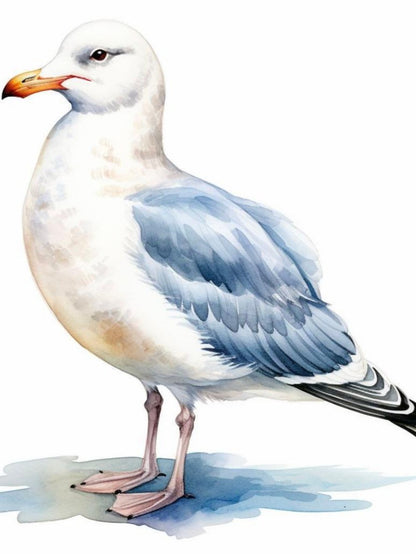 Gull | Diamond Painting
