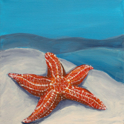 Starfish | Diamond Painting