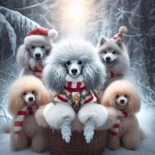 Poodle Dog | Diamond Painting