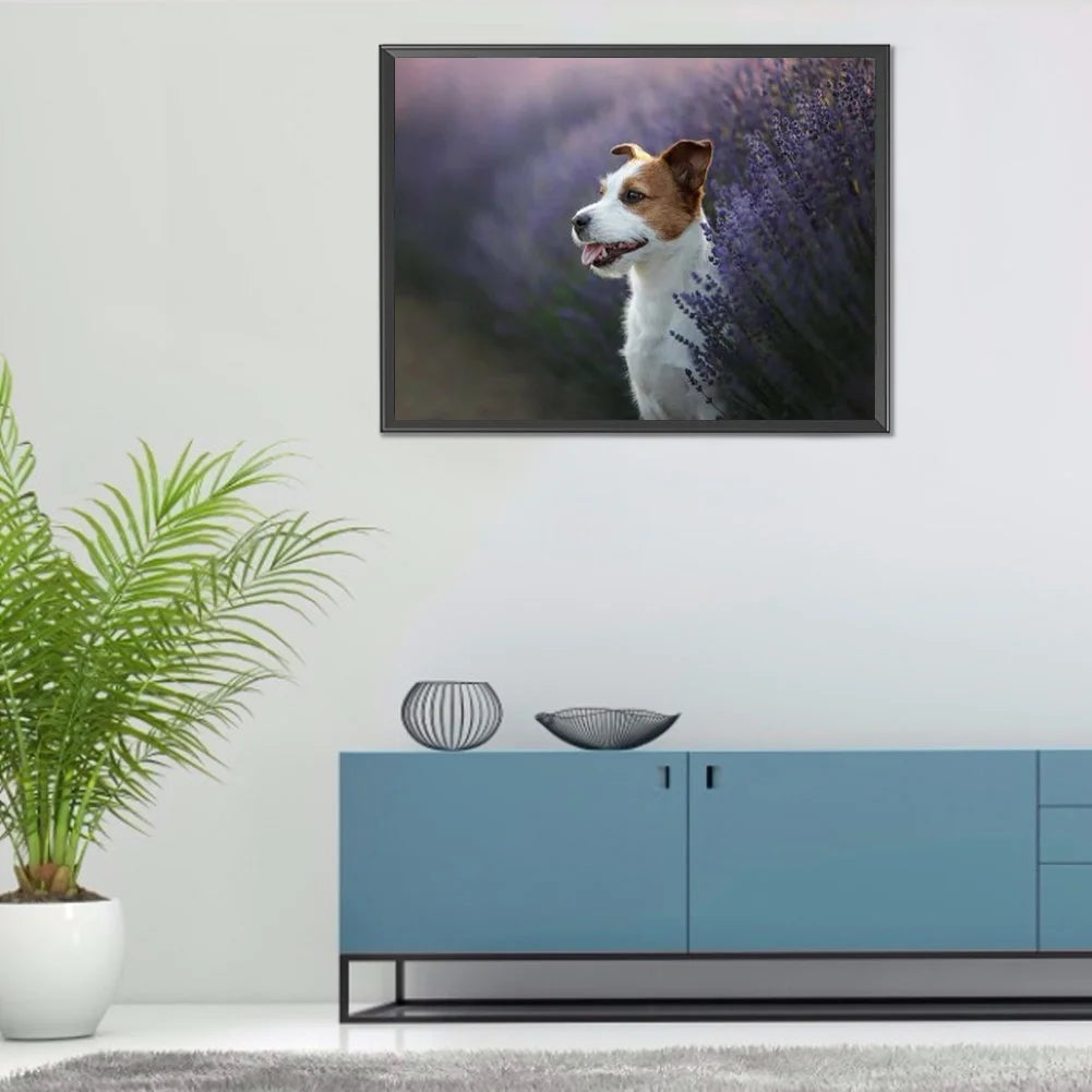 Jack Russell Dog Is Waiting | Diamond Painting