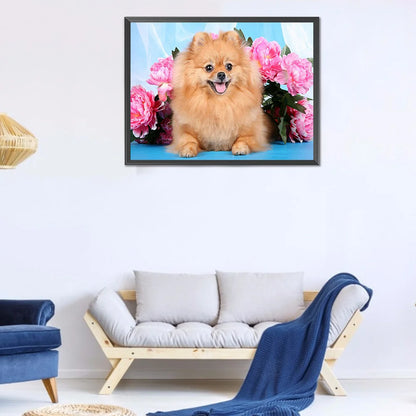 Flower Dog Pomeranian | Diamond Painting