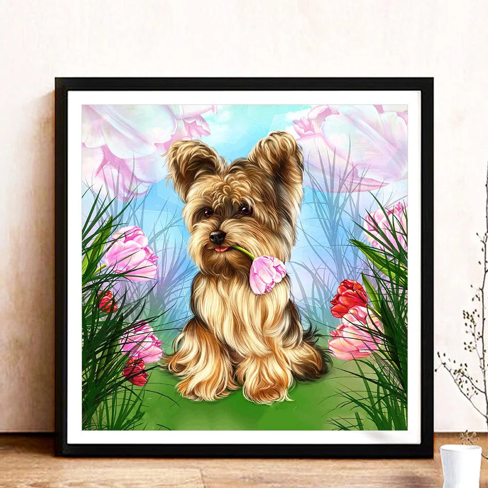 Animal Dog Yorkie | Diamond Painting