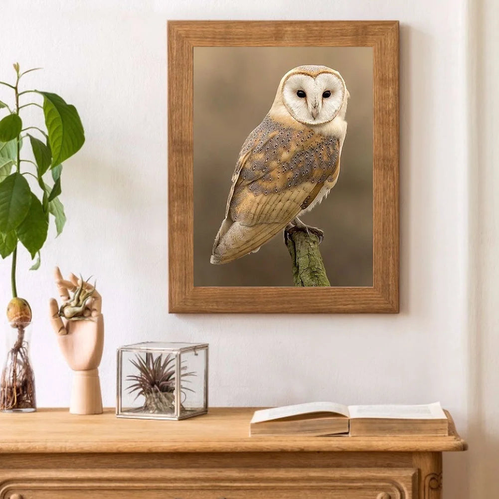 Owl | Diamond Painting