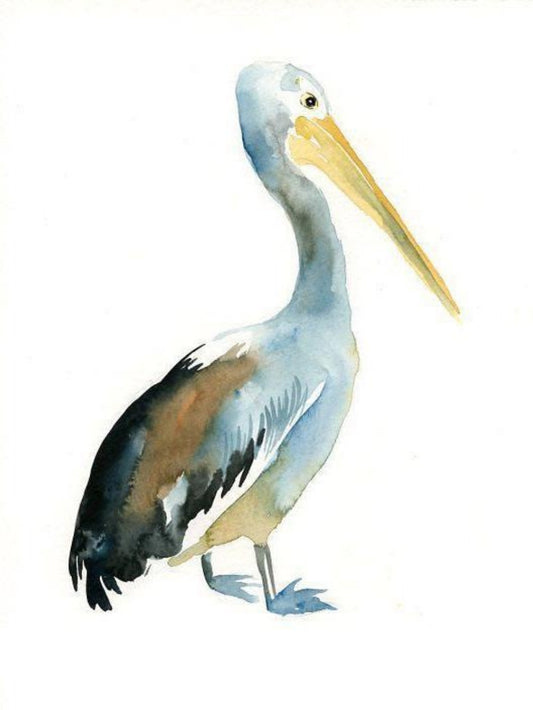 Pelican | Diamond Painting