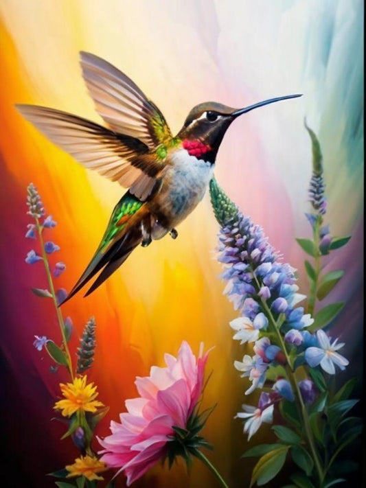 Hummingbird | Diamond Painting