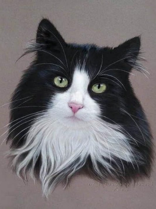 Tuxedo Cat  | Diamond Painting