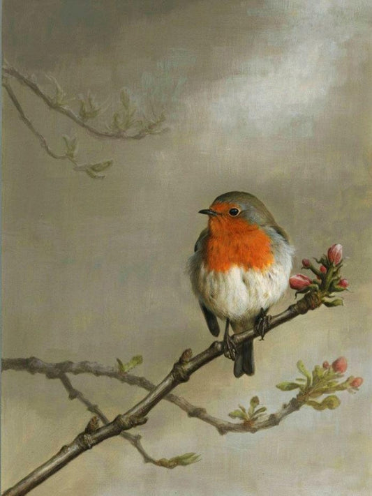 Robin Bird | Diamond Painting