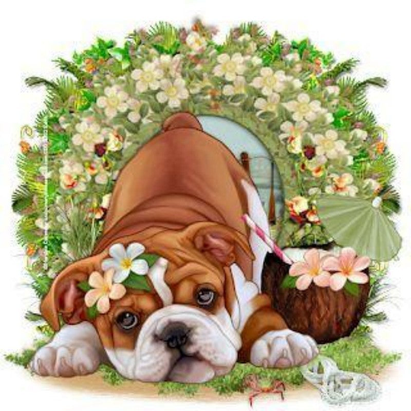 Dog English Bulldog | Diamond Painting