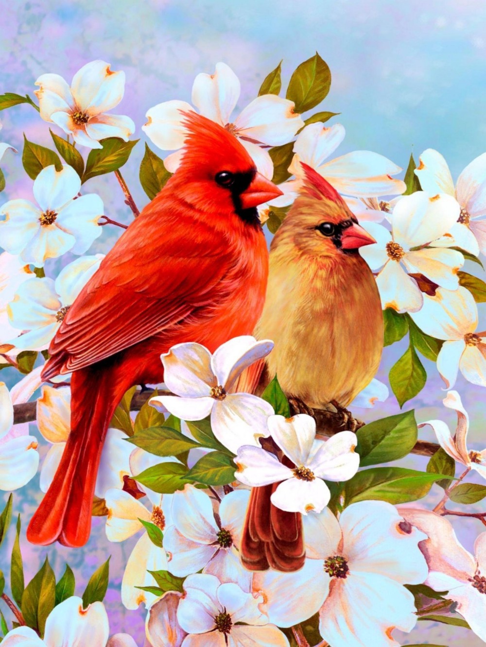 Cardinal | Diamond Painting