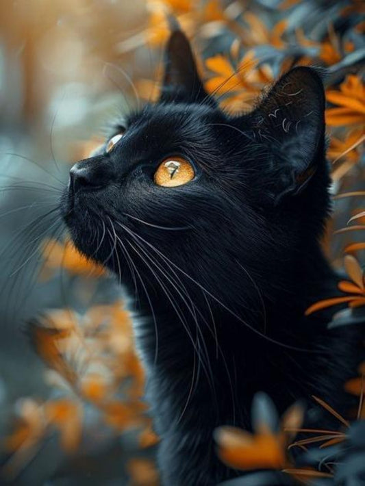 Black Cat | Diamond Painting