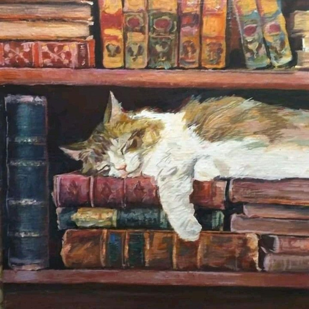 Cat Bookshelf | Diamond Painting