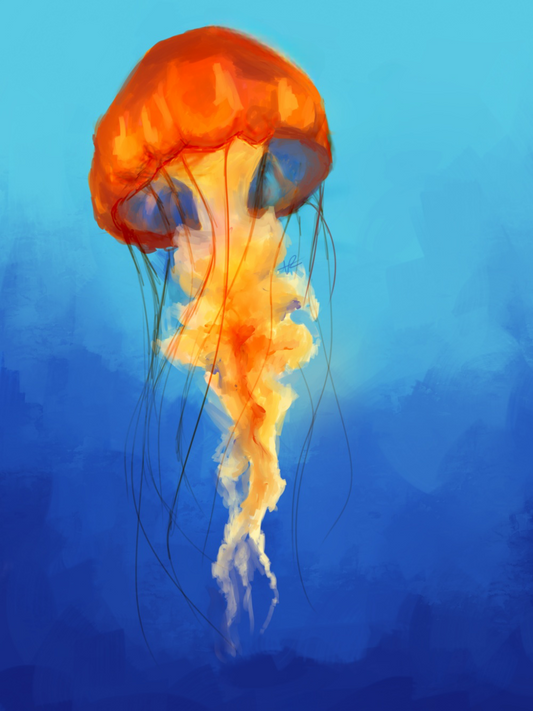 Jellyfish | Diamond Painting