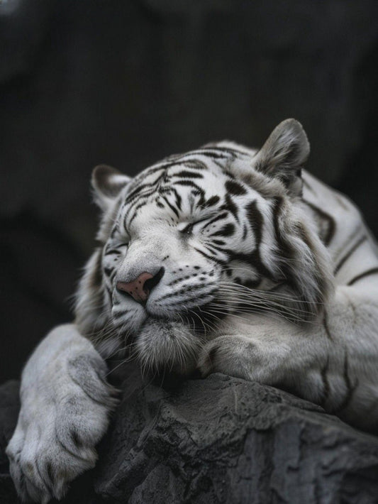 White Tiger | Diamond Painting