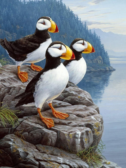 Puffin | Diamond Painting