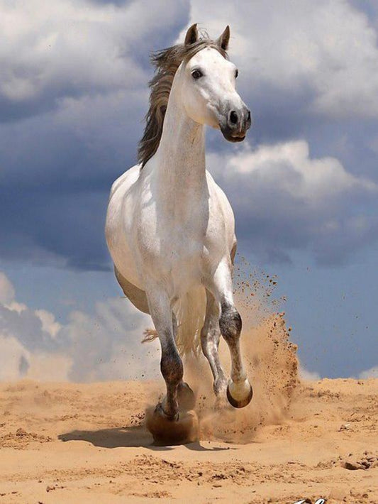 Horse | Diamond Painting