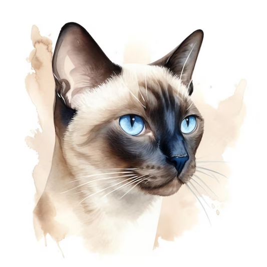 Siamese Cat | Diamond Painting